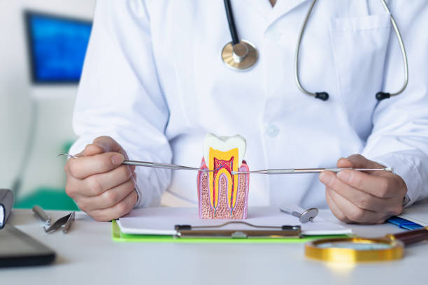 Best Emergency Orthodontic Repairs in Tinley Park, IL